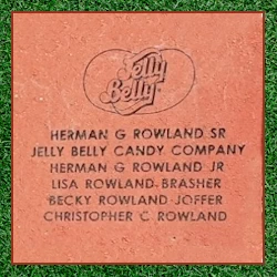 8" x 8" Graphic Paver